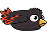 Blackbird