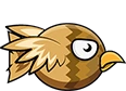 Hawk