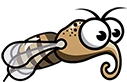 Mosquito