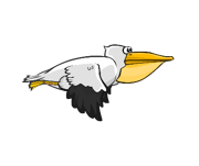 Pelican