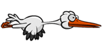 Stork