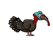 Turkey