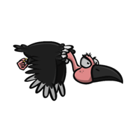 Vulture